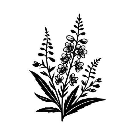 Premium Vector Fireweed Wild Flower Vector Silhouette Illustration