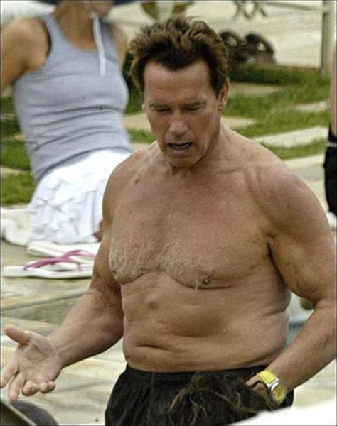 Arnold Schwarzenegger Abs