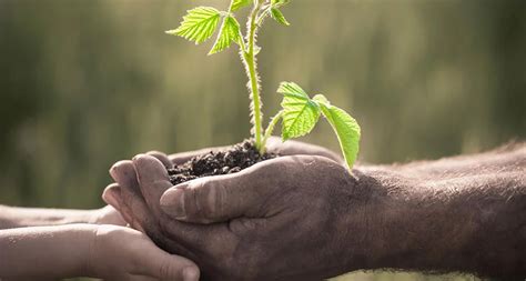 Vivere In Modo Eco Sostenibile Benefici Per La Salute E L Ambiente