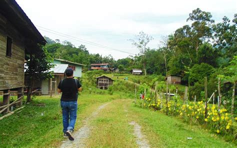 Introducing Kiulu Farmstay Packages | Borneo Eco Tours