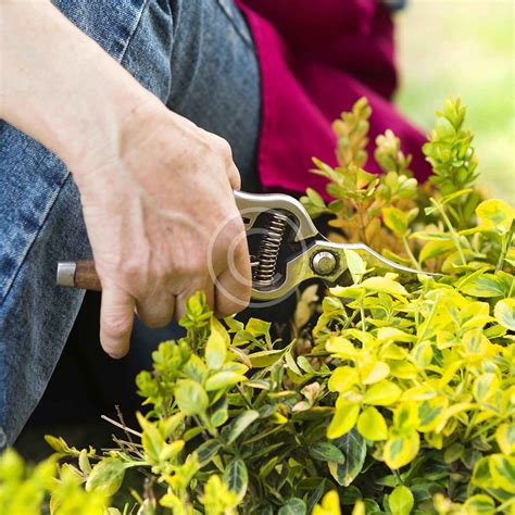 Glas Und Rahmenreinigung Ilhan S Gartenpflege Hausmeisterservice