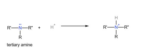 Basicity of Amines and Amides - Explain and compare - Emily Learning