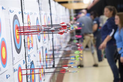 Arrow Options For Indoor Archery