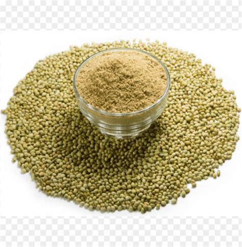 Free Download Hd Png Coriander Powder Png Transparent With Clear