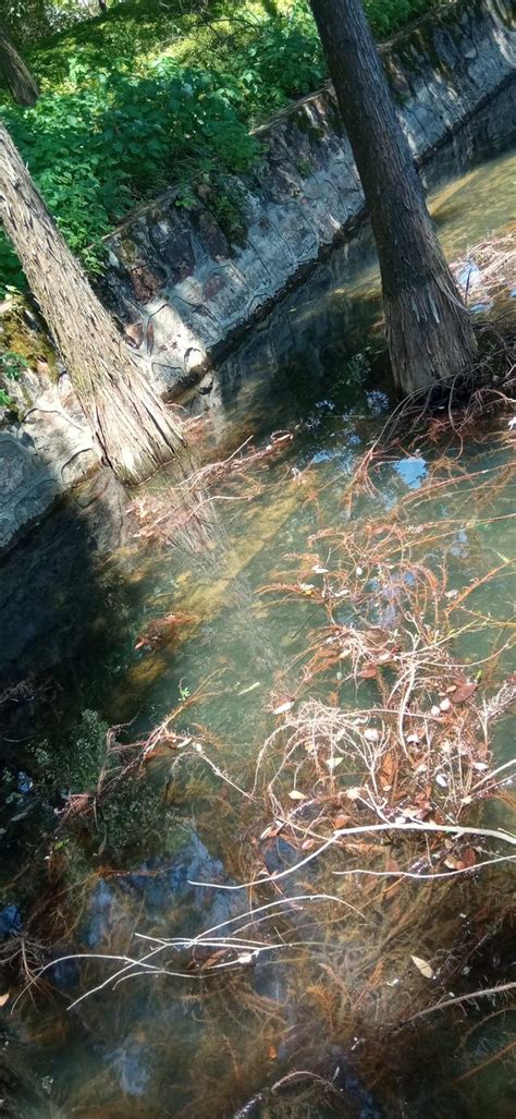 湖南省植物園8月遊玩攻略玩什麼門票預約最新花展 每日頭條