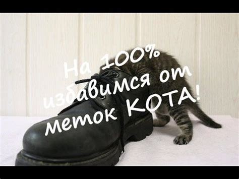 На 100% ИЗБАВИМСЯ от меток КОТА! | All black sneakers, Sneakers, Black ...