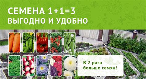 ТД АгроБытХимЦЕНТР - продажа товаров для садоводов, огородников и ...