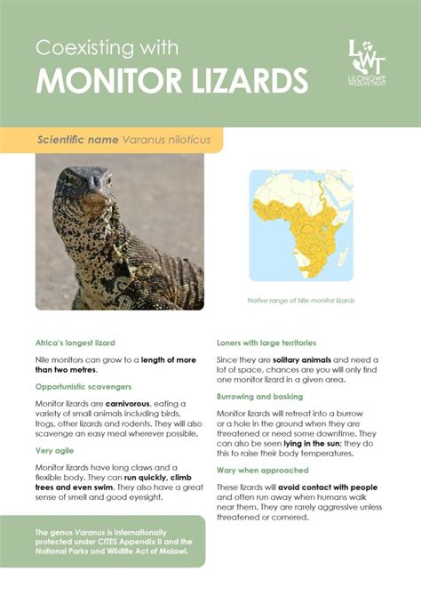 Coexisting With Urban Wildlife Our Handy Fact Sheets Lilongwe