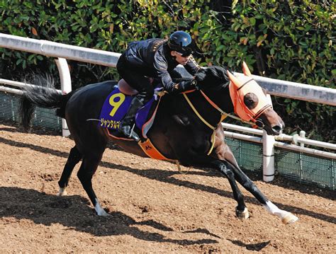 【皐月賞枠順】4枠8番のジャンタルマンタル「決められたところでジョッキーにお任せするだけ」と高野師：中日スポーツ・東京中日スポーツ