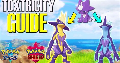 Pokémon Sword & Shield Toxel Evolution Guide