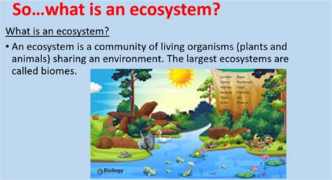 Ecosystem Abiotic And Biotic Factors Teaching Resources