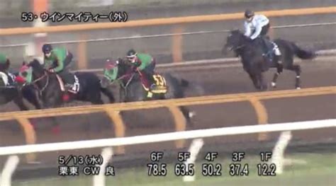 【オークス2020（優駿牝馬）】調教 1週前追い切りベスト3 勝ち組在籍方法！