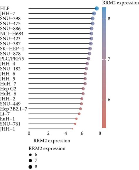 Expression Of Rr Subunits In Liver Cancer And Cancer Cell Lines A