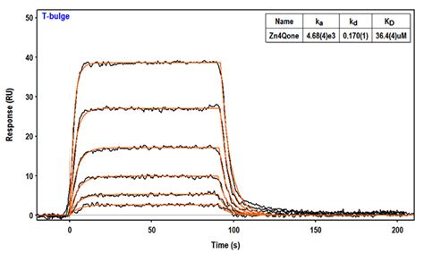 Xantec Bioanalytics Gmbh Products Spr Biosensors Applications Application Note 11 Dna