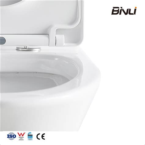 Ceramic Bathroom Washdown Flushing P Trap 180mm Back To Wall Two Pc Toilet China Toilet And