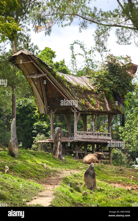 Austronesian Architecture Hi Res Stock Photography And Images Alamy