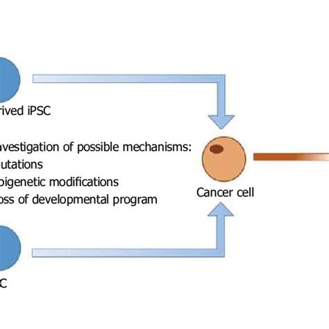 Generation Of Induced Pluripotent Stem Cells From Both Normal And Download Scientific Diagram