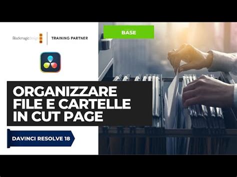 Organizzare Clip E Cartelle In Cut Page Davinci Resolve ITA YouTube