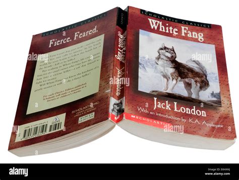 White fang book cover hi-res stock photography and images - Alamy