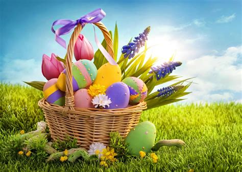 K K Holidays Easter Lupinus Tulips Eggs Wicker Basket Grass