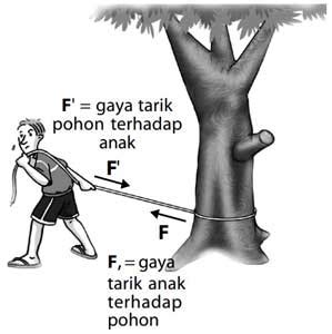 Contoh Soal Hukum Newton 3 Beserta Jawabannya - Gurunda