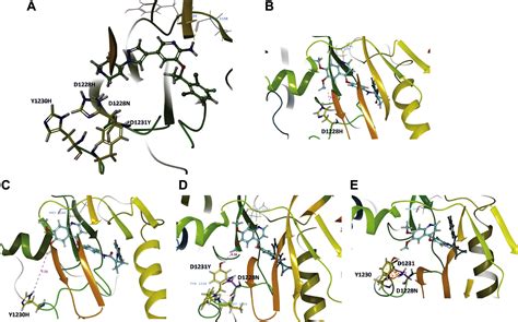 Osimertinib And Cabozantinib Combinatorial Therapy In An Egfr Mutant