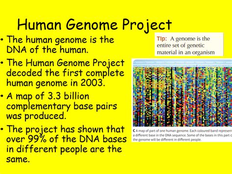 Edexcel Cb3 Sb3 Gene Mutation Complete Lesson Gcse Biology Combined