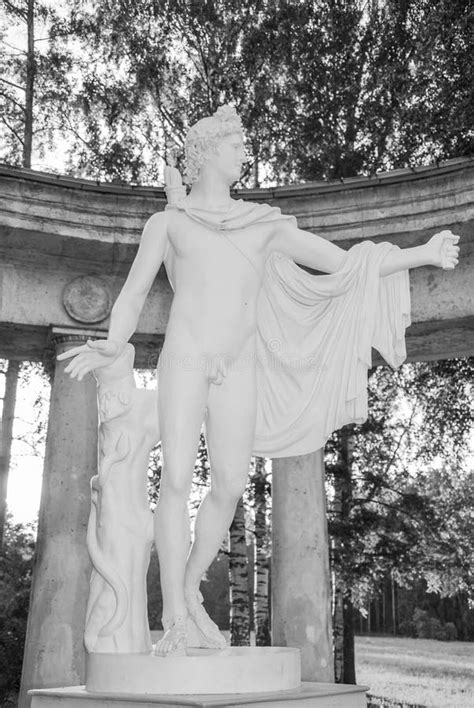 Statua Di Apollo Belvedere Nel Museo Del Vaticano Il Maggio Nel