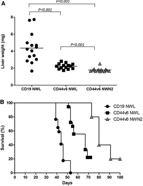 Characterization And Functional Analysis Of CD44v6 CAR T Cells Endowed