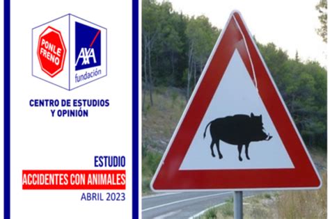 Los accidentes de tráfico con animales se duplican en cinco años