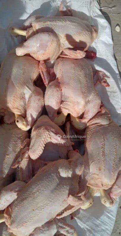 Alimentation Poulets de chair au Sénégal CoinAfrique Sénégal