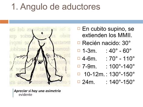 Tono Muscular Ppt