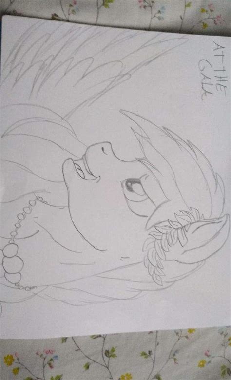 Rainbow Dash At The Gala My Little Pony Amino