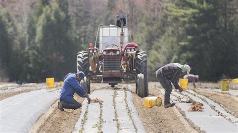 Les Droits Des Travailleurs Trangers Temporaires Seront Mieux Prot G S