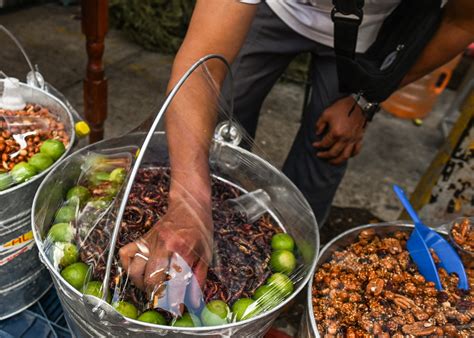Should people eat insects instead of meat? Experts explain the benefits