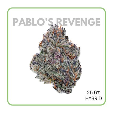 Pablos Revenge Strain Flowerz