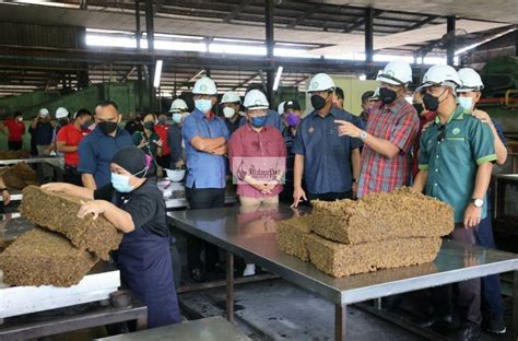 Harga Lantai Getah Sekerap Tinggi Mampu Elak Pekebun Kecil Getah