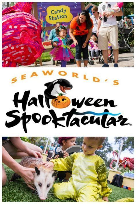 Celebrate Halloween With All Your Favorite Sea Creatures At Seaworld