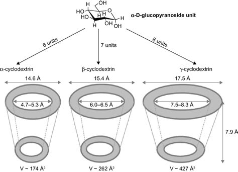 Structure And Properties Of α β And γ Cyclodextrin Download