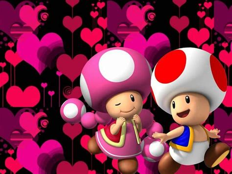 22 Best Toadette Images On Pinterest Super Mario Bros Nintendo And