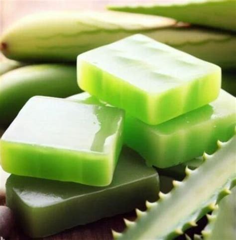 Aloe Vera Soaps At Best Price In New Delhi Delhi Ritu Herbs