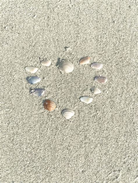 Several Seashells Are Arranged In The Shape Of A Heart On The Sandy Beach