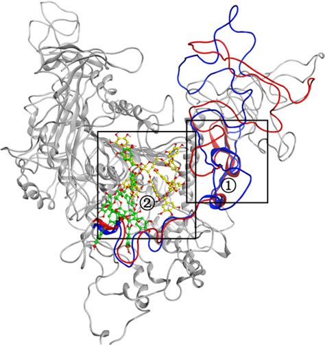 Frontiers Biochemical And Structural Characterization Of A Novel