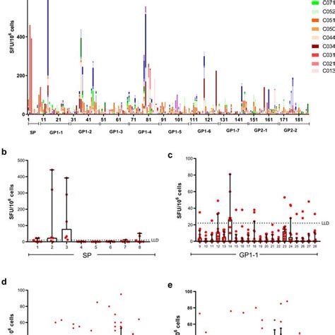 Evd Survivor T Cell Memory Response To Ebov Glycoprotein Gp1 4 Ifnγ