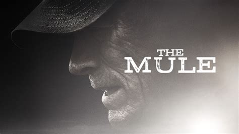 The Mule Streaming: Watch & Stream Online via Netflix