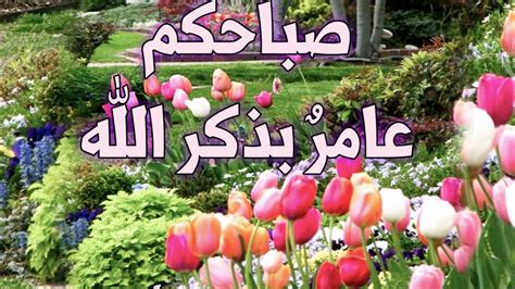 صباحكم عامر بذكر الله 🌹حالات واتس اب صباحية 💐اللهم ارح قلبي خواطر