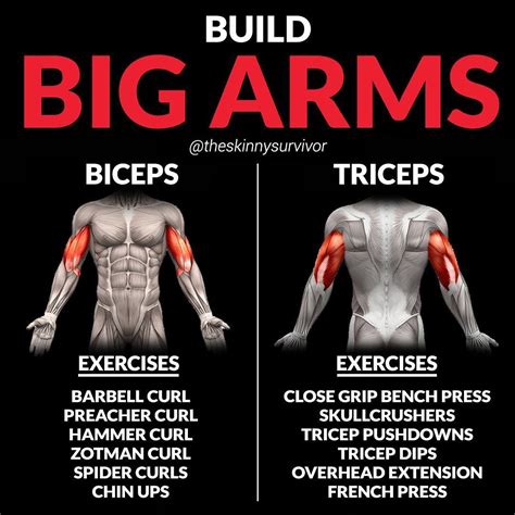 Heres The Best Route To Bigger Biceps With This Superset Workout