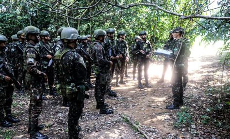 Estados Unidos enviarão mais de 300 militares para a Amazônia Portal