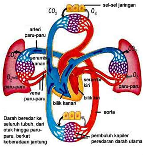 Pusat Jantung Nasional Harapan Kita