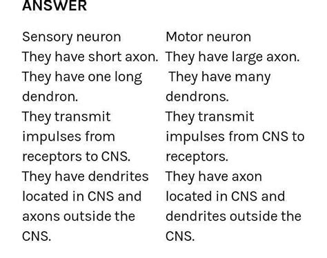 Motor Neuron And Sensory Neuron Differences And Differences